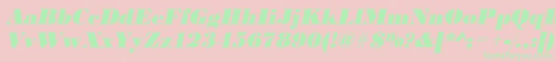 UrwbodonidextbolOblique Font – Green Fonts on Pink Background