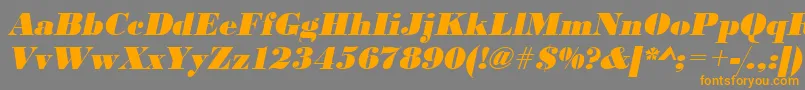 UrwbodonidextbolOblique Font – Orange Fonts on Gray Background