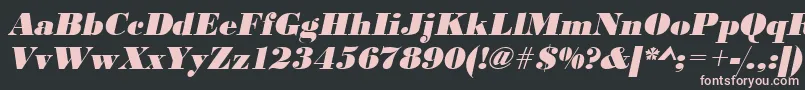 UrwbodonidextbolOblique Font – Pink Fonts on Black Background
