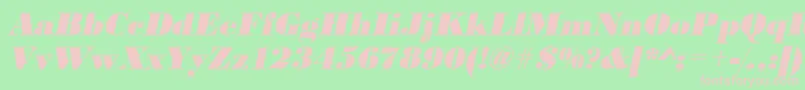 UrwbodonidextbolOblique Font – Pink Fonts on Green Background