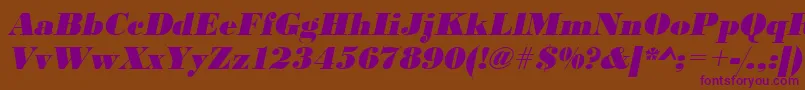 UrwbodonidextbolOblique Font – Purple Fonts on Brown Background
