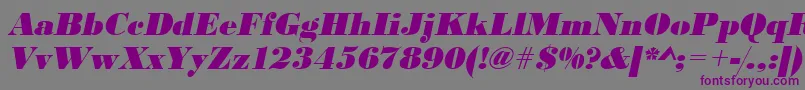 UrwbodonidextbolOblique Font – Purple Fonts on Gray Background