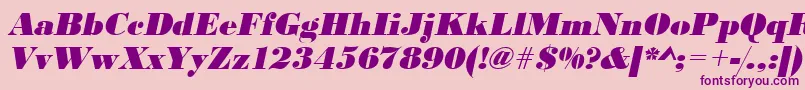 UrwbodonidextbolOblique Font – Purple Fonts on Pink Background
