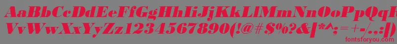UrwbodonidextbolOblique Font – Red Fonts on Gray Background
