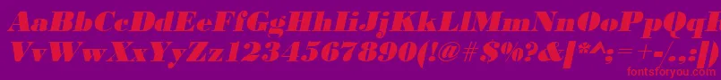 UrwbodonidextbolOblique Font – Red Fonts on Purple Background