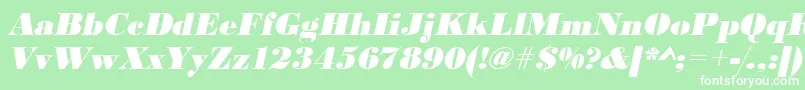 UrwbodonidextbolOblique Font – White Fonts on Green Background