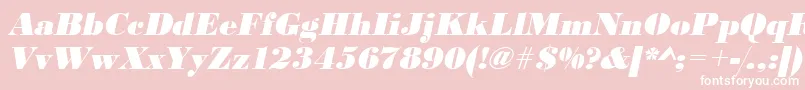 UrwbodonidextbolOblique Font – White Fonts on Pink Background