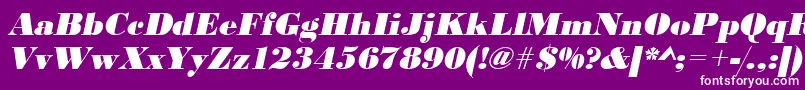 UrwbodonidextbolOblique Font – White Fonts on Purple Background