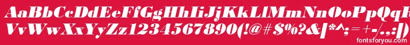 UrwbodonidextbolOblique Font – White Fonts on Red Background