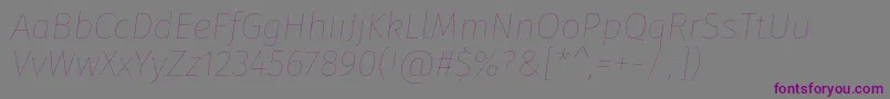 フォントFirasansEightitalic – 紫色のフォント、灰色の背景