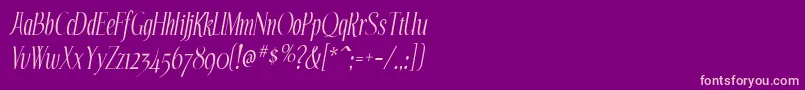 EchelonItalic Font – Pink Fonts on Purple Background