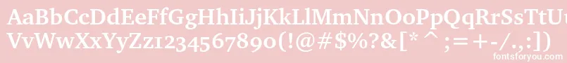 CharteroscBold Font – White Fonts on Pink Background