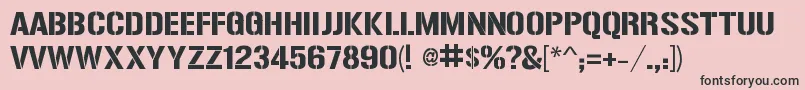ReiseReise Font – Black Fonts on Pink Background