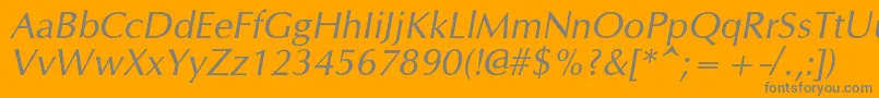 OpiumnewcItalic Font – Gray Fonts on Orange Background