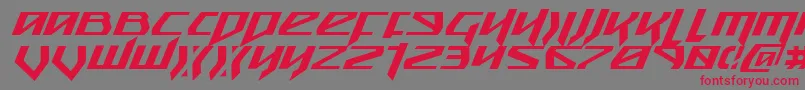 Snubfighteri Font – Red Fonts on Gray Background