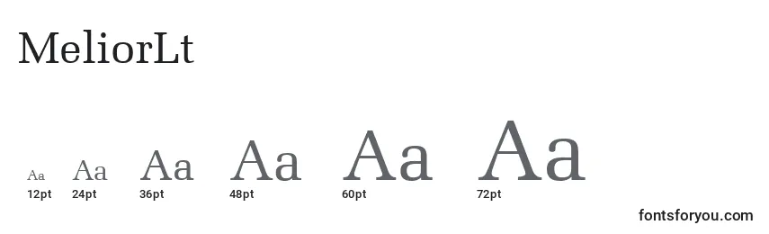MeliorLt Font Sizes