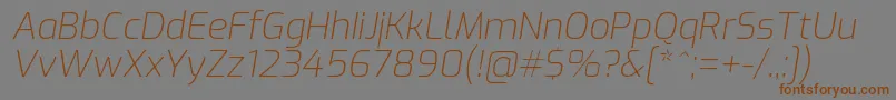 ExoExtralightitalic Font – Brown Fonts on Gray Background