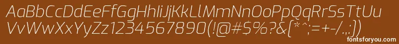 ExoExtralightitalic Font – White Fonts on Brown Background