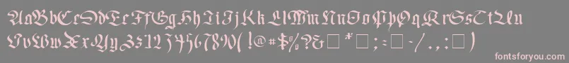 Faustus Font – Pink Fonts on Gray Background