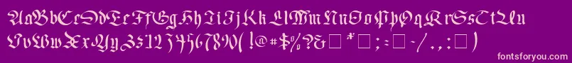 Faustus Font – Pink Fonts on Purple Background