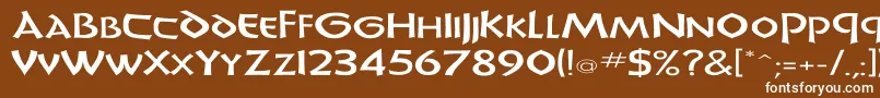 フォントUnciadisEx – 茶色の背景に白い文字