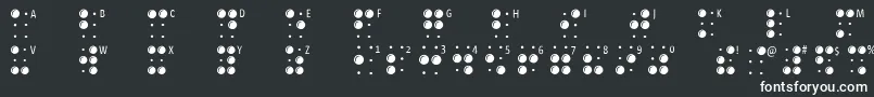 Шрифт Braillelatin – белые шрифты на чёрном фоне