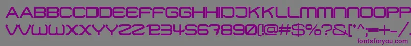 01Digitmono Font – Purple Fonts on Gray Background
