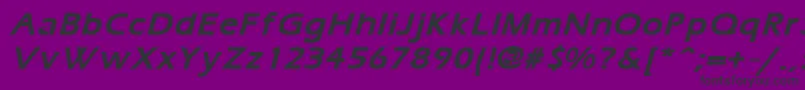 ErgoemildBoldItalic Font – Black Fonts on Purple Background