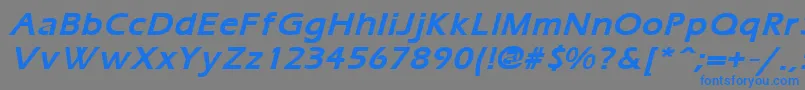 フォントErgoemildBoldItalic – 灰色の背景に青い文字