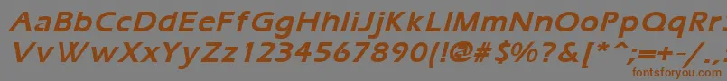 ErgoemildBoldItalic Font – Brown Fonts on Gray Background