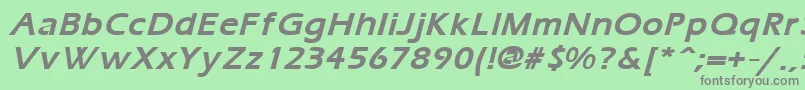 ErgoemildBoldItalic Font – Gray Fonts on Green Background