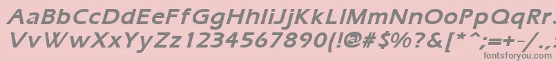 ErgoemildBoldItalic Font – Gray Fonts on Pink Background