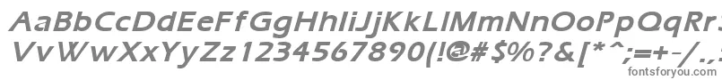ErgoemildBoldItalic Font – Gray Fonts on White Background