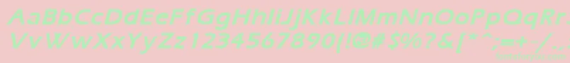 ErgoemildBoldItalic Font – Green Fonts on Pink Background