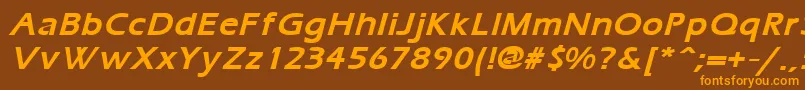 ErgoemildBoldItalic Font – Orange Fonts on Brown Background