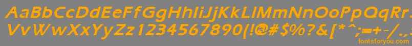 ErgoemildBoldItalic Font – Orange Fonts on Gray Background