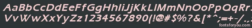 ErgoemildBoldItalic Font – Pink Fonts on Black Background