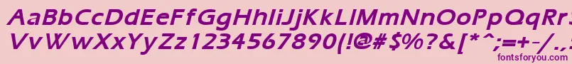 ErgoemildBoldItalic Font – Purple Fonts on Pink Background
