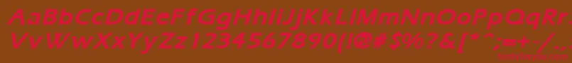ErgoemildBoldItalic Font – Red Fonts on Brown Background