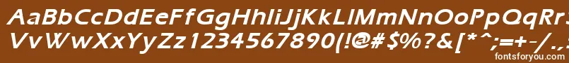 ErgoemildBoldItalic Font – White Fonts on Brown Background