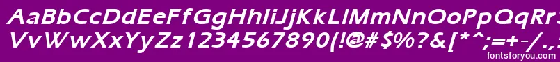 ErgoemildBoldItalic Font – White Fonts on Purple Background