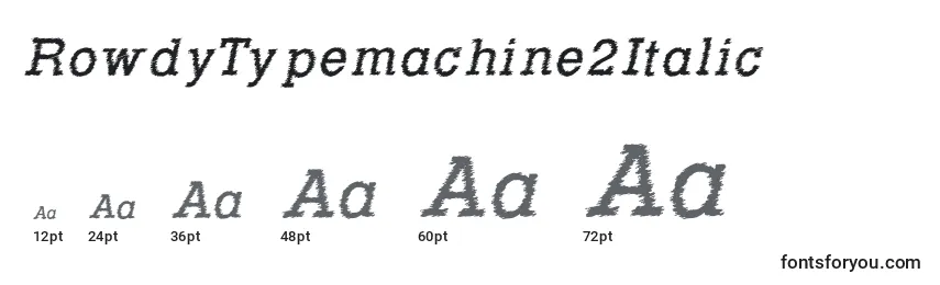 Размеры шрифта RowdyTypemachine2Italic