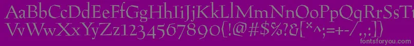 Preissigantikva Font – Gray Fonts on Purple Background