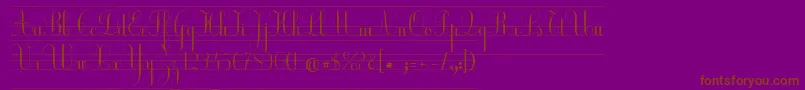 EcolierCp-Schriftart – Braune Schriften auf violettem Hintergrund