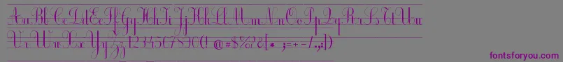 EcolierCp-fontti – violetit fontit harmaalla taustalla