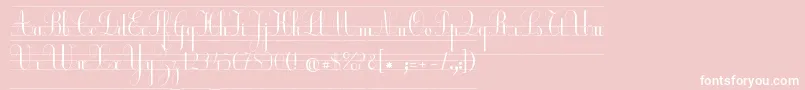 EcolierCp-Schriftart – Weiße Schriften auf rosa Hintergrund