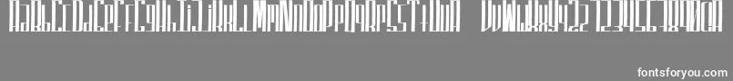 SuperfuckedTall Font – White Fonts on Gray Background