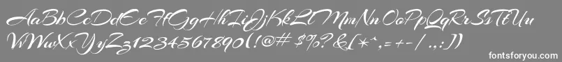 ArizoniaRegular Font – White Fonts on Gray Background