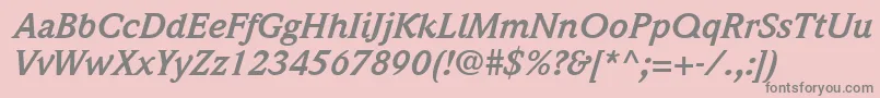 ItcWeidemannLtBoldItalic Font – Gray Fonts on Pink Background