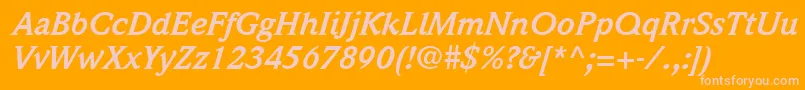 ItcWeidemannLtBoldItalic Font – Pink Fonts on Orange Background